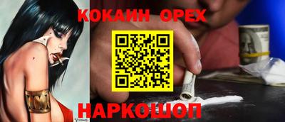 МДПВ Бийск