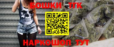 МДПВ Бийск