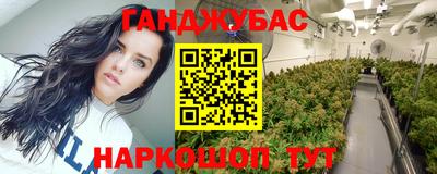МДПВ Бийск