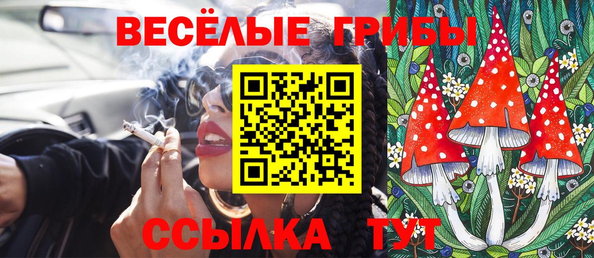 Когалым  Галлюциногенные грибы Magic Shrooms  купить наркотики цена  Вход с VPN 